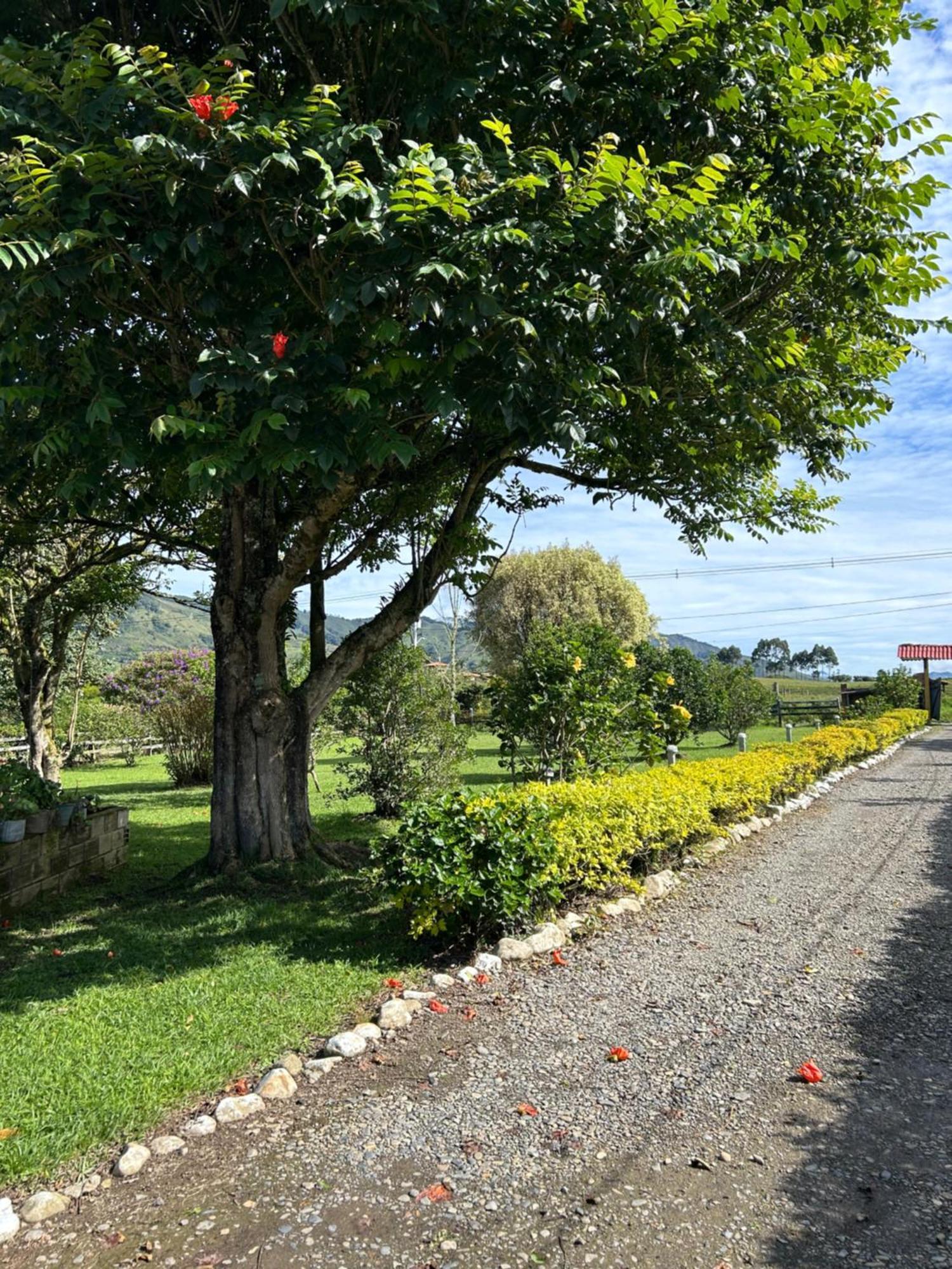 Finca Hotel Paraiso Urrao Exterior photo